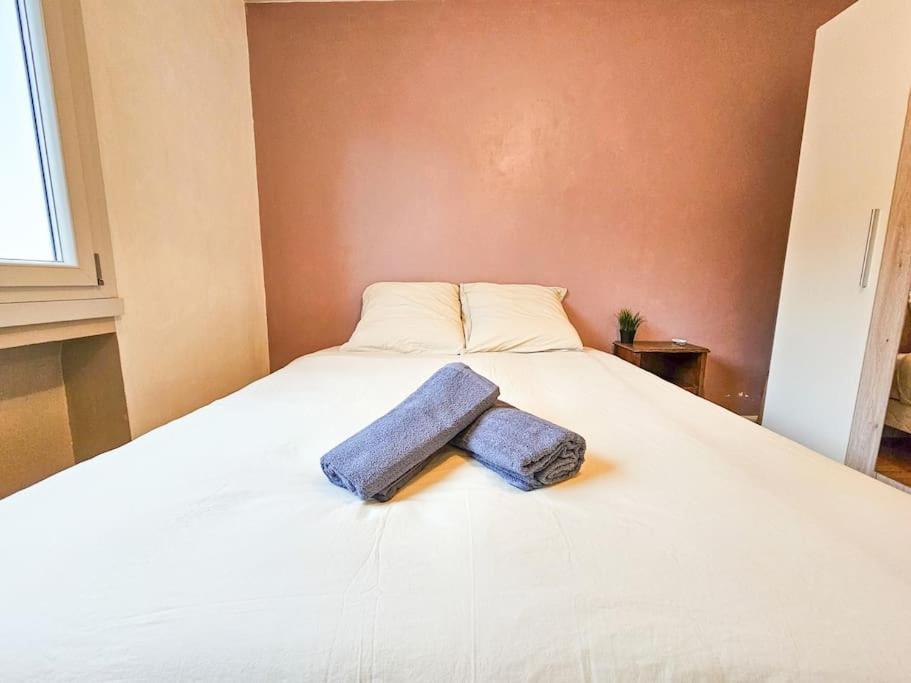 Le Bergson 3 Chambres Stationnement Gratuit Saint-Etienne  Exteriör bild